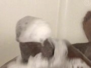 stroking in the shower | @blvdjodi 3/16