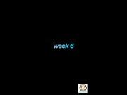 body transformation week by week 2/16