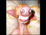 MUCHO KABUM KABUM EN ESTE JUEGO - WARZONE MOBILE 8/16