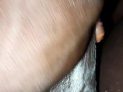 Have you ever seen the biggest BBC before? 6/16