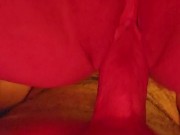 Amateur couple orgasm and creampie 11/16