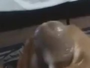 BBC stroking and nutted 15/16