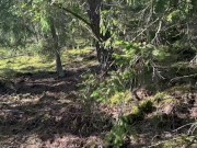 A witch with beautiful natural tits finds dildos in the forest and immediately tests them 2/16