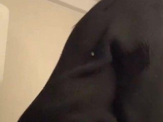 Pretty girl shakes her ass