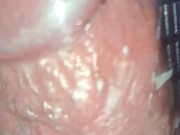 Pomp it up, I wanna pomp it up!!! 12/16