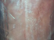 Pomp it up, I wanna pomp it up!!! 4/16