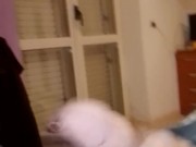 Caccio tanta sfaccimma pensando di chiavare un culo 2/16