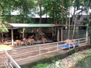 The funny guys of Saigon 12/16