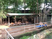 The funny guys of Saigon 15/16