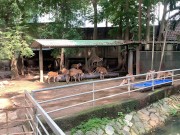 The funny guys of Saigon 9/16