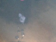 No hands cumshot 14/16