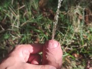 Naked hiking and pissing in the woods 6/16