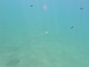 PAWG Underwater Part 2