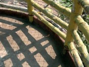 Crocodiles of Saigon 10/16