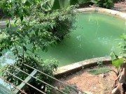 Crocodiles of Saigon 11/16