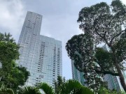 Crocodiles of Saigon 15/16