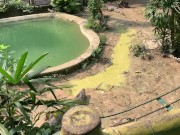 Crocodiles of Saigon 6/16