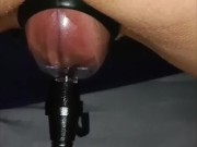 Sugando minha vagina ao máximo 🤤 12/16