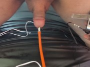 Moaning estim hands free orgasm with sounding and butt plug 11/16