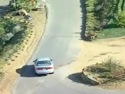 Two horny whores share one cock in a threesome 2/16