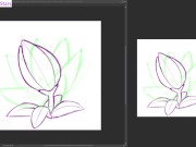 dstears 08 11 2024 B 10/16