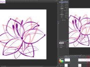 dstears 08 11 2024 B 11/16