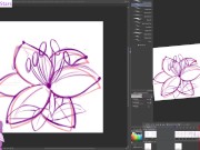 dstears 08 11 2024 B 13/16