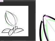 dstears 08 11 2024 B 15/16