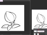 dstears 08 11 2024 B 16/16