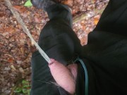 Pissing in the beautiful forest 13/16
