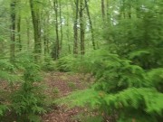 Pissing in the beautiful forest 3/16