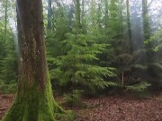 Pissing in the beautiful forest