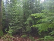 Pissing in the beautiful forest 6/16