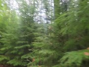 Pissing in the beautiful forest 7/16