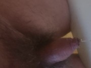 This morning piss 12/16