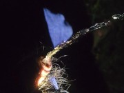 Pissing outside with bike light cold cock 11/16