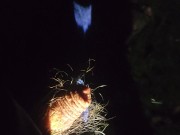 Pissing outside with bike light cold cock 16/16