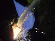 Pissing outside with bike light cold cock 9/16