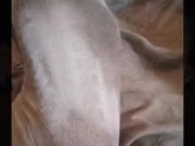 Do my dirty socks turn you on? 2/16