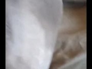 Do my dirty socks turn you on? 5/16