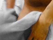 Mijando de compilação 8/16