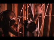 She likes to be tied up 2/16