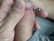 New Prince Albert piercing! 8/16