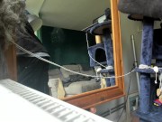 just standing now 15/16