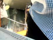 standing webcam 14/16