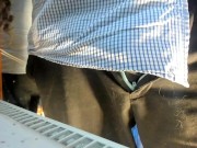 any such component 2/16