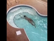 Backshots pt. 11 (Freaky Tales in Hotels Continues) 1/16