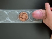 finish on the cake and macro zoom 6/16