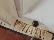 Compilation of some toilet, urinal and floor pissing. 7 POV scenes. 11/16