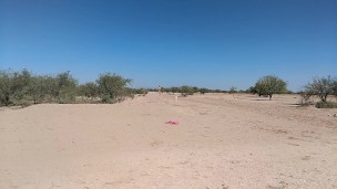 linda travesti puta en minifalda plug anal y tacones muy deliciosa y caliente disfrutala